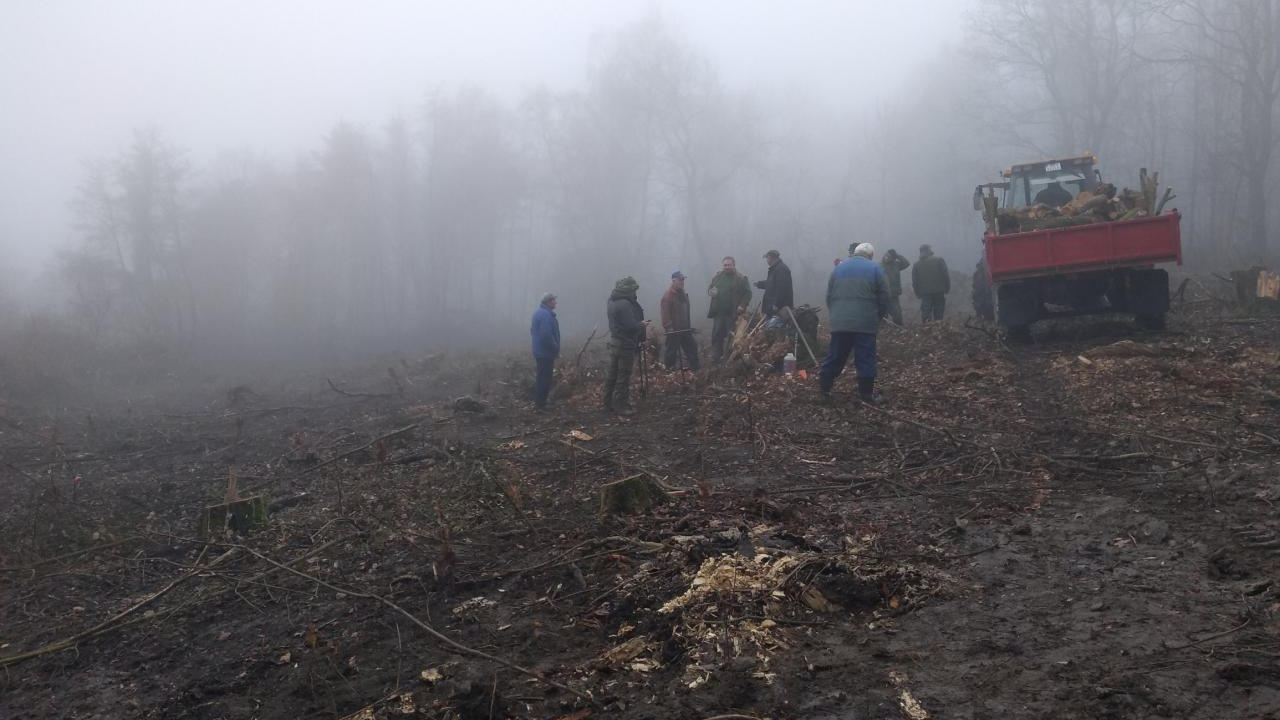 Fotografia fotogalérie Výsadba nových stromčekov