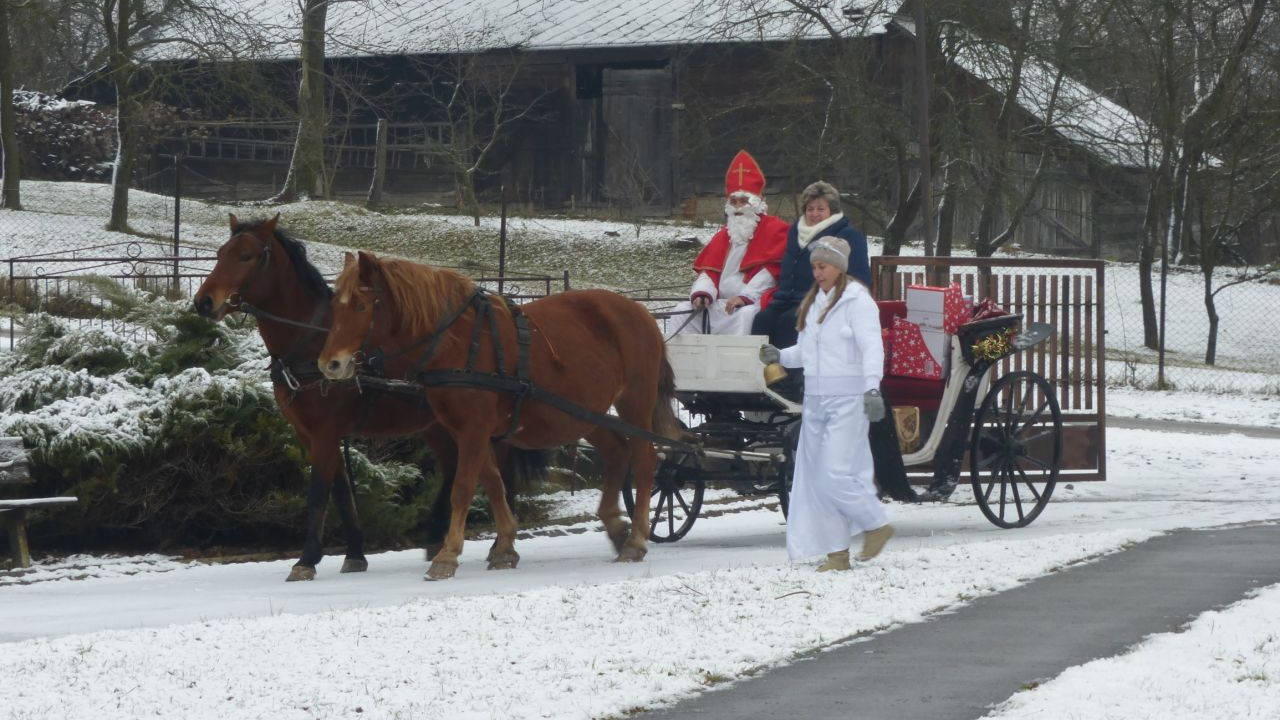 Fotografia fotogalérie 2017