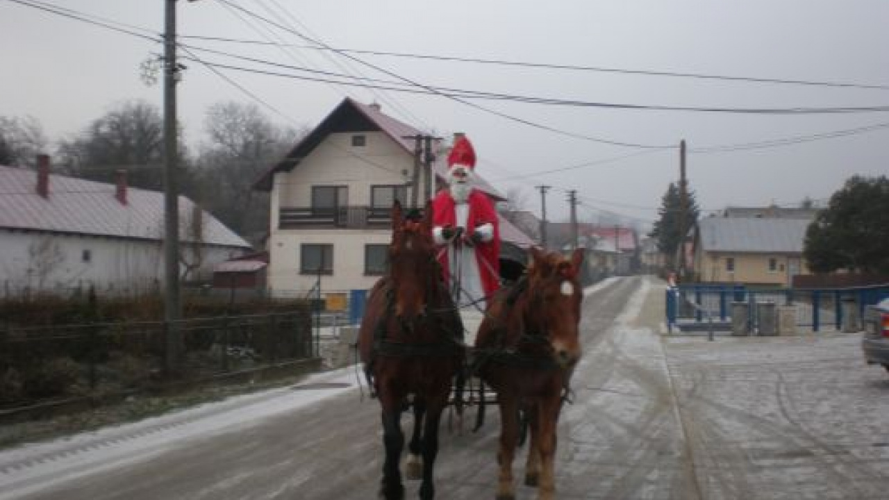 Fotografia fotogalérie 2014